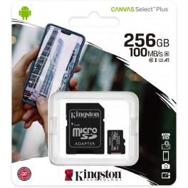 SDCS2/256GB